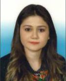 Berk, Gizem