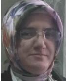 Yıldız, Şaduman